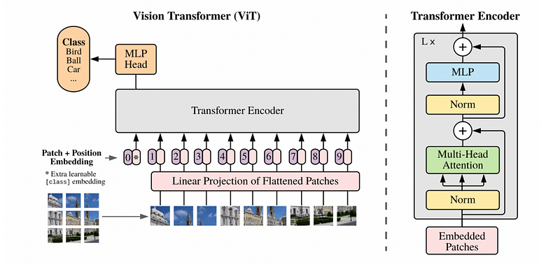 解决NLP任务的Transformer为什么可以应用于计算机视觉？