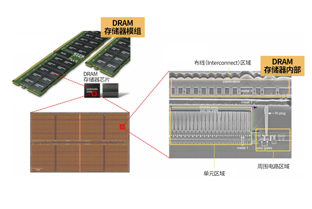 图6：DRAM的内部结构.png