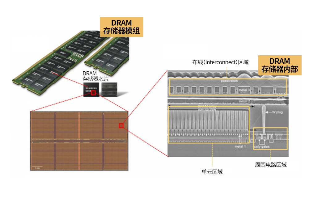 图@@6：DRAM的内部结构@@.png