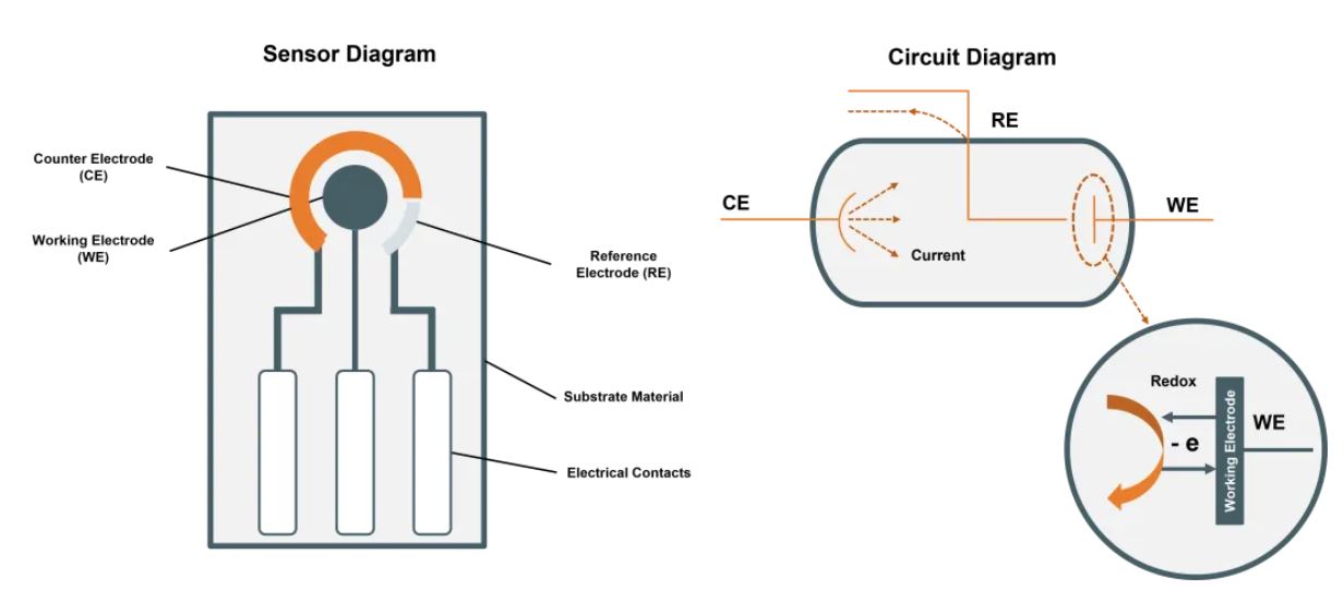 图 2：左图直观地展示了典型电化学传感器.JPG