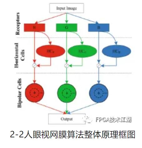 图2-2人眼视网膜算法整体原理框图.JPG