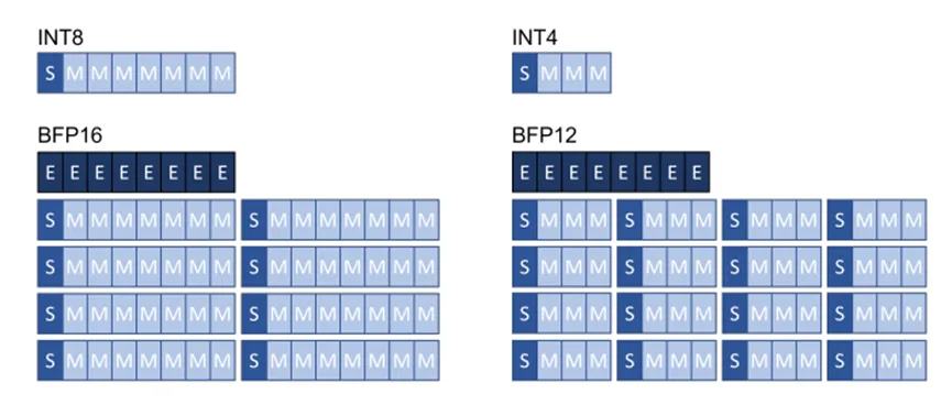 图2. 块浮点量化格式.png