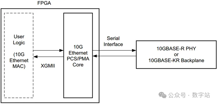 图1 使用XGMII接口连接到MAC内核的内核.png