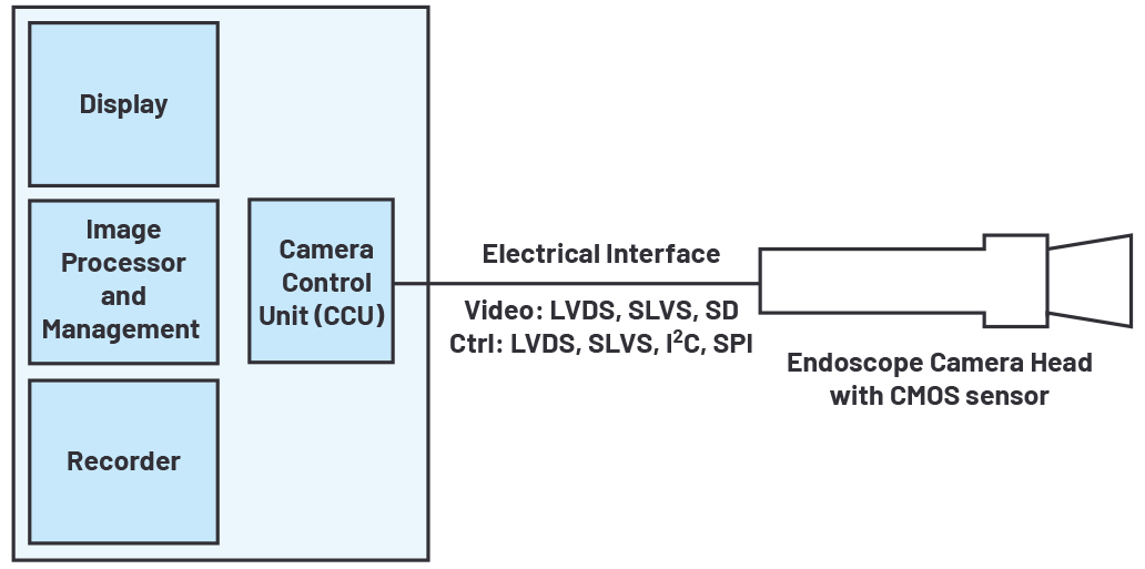 339263-fig-03.jpg