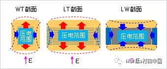 施加电压时由压电现象造成的芯片变形