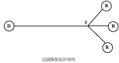 远端簇形