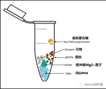 利用PCR技术进行核酸检测的样本